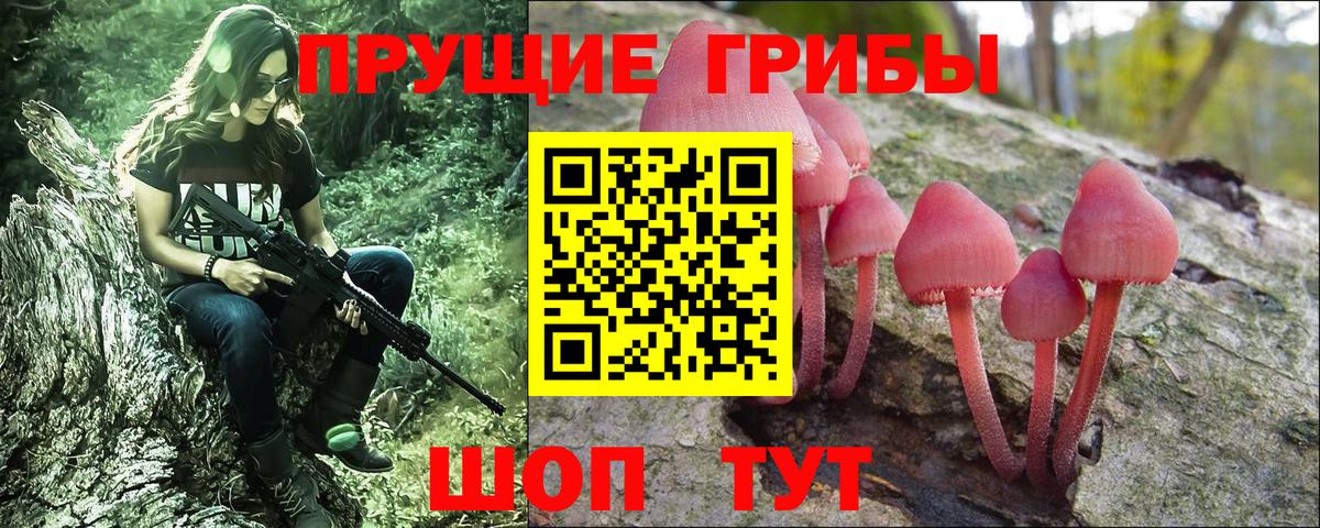 Галлюциногенные грибы Cubensis Аша