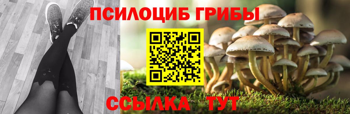 Псилоцибиновые грибы мицелий  Вход с VPN  Галлюциногенные грибы MAGIC MUSHROOMS  Аша 